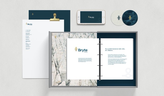 demographica b2b marketing case study bryte insurance collateral